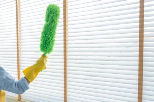 tirai jendela, window blinds, blackout blinds