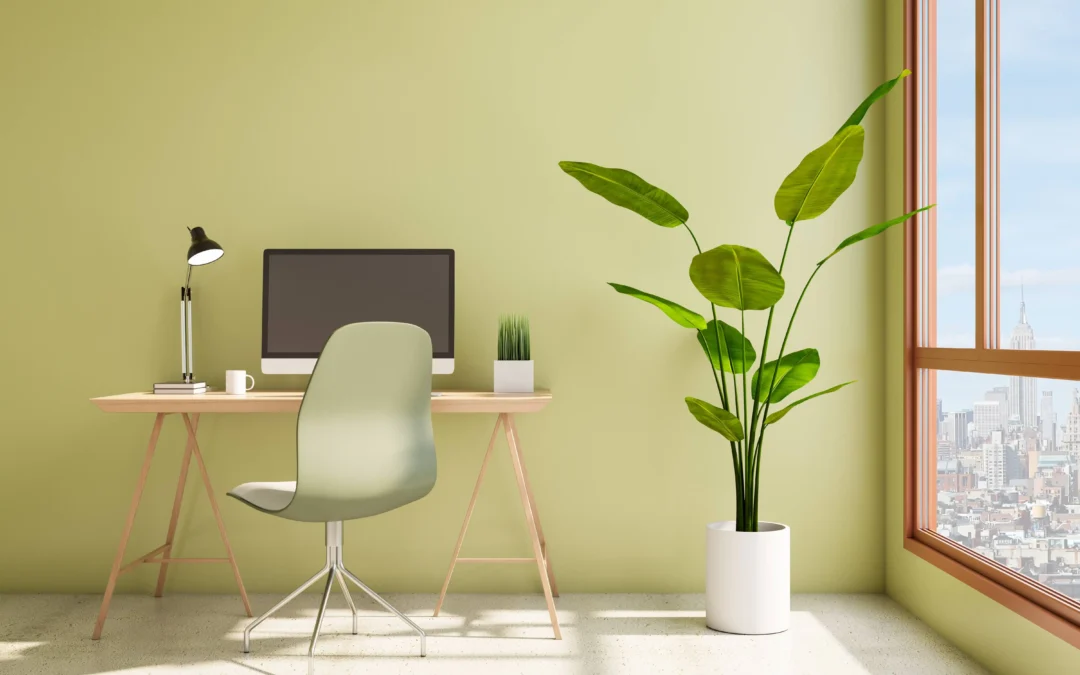 9 Inspirasi Warna Cat Dinding Kantor yang Elegan dan Profesional