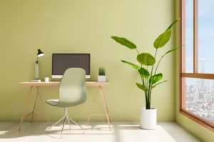 ruang kantor warna hijau, inspirasi dinding kantor